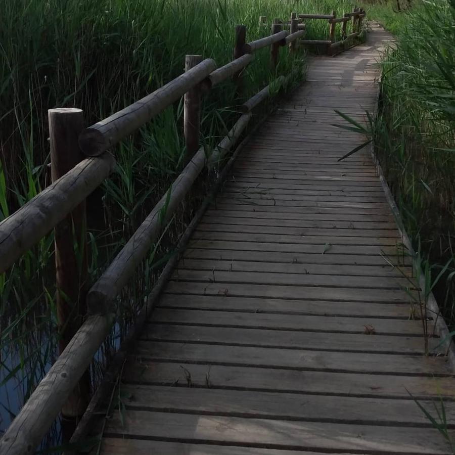 Casa Rural Cal Fuster Experience Terrades ภายนอก รูปภาพ